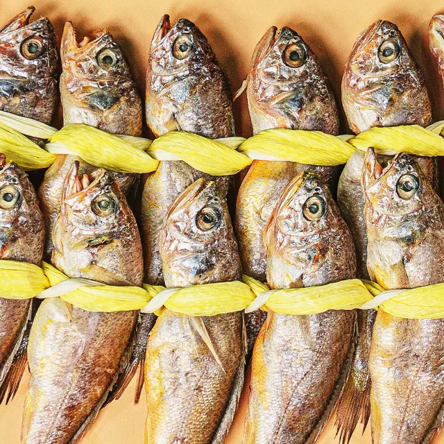 [알리익스프레스] 맛있는 법성포 굴비의 비밀을 속속들이