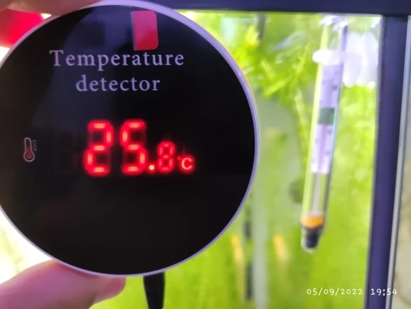 TempSpot - WiFi Water Temperature Alarm