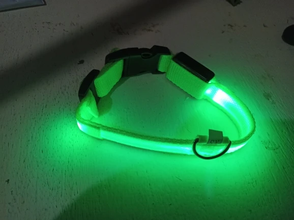GlowSafe – Leuchtendes Halsband & Leine für maximale Sichtbarkeit bei Nacht photo review
