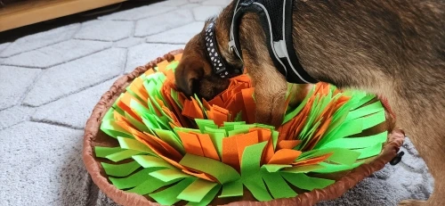 Snuffle Mat (Interactive Feeding Toy) 17.5" x 17.5"