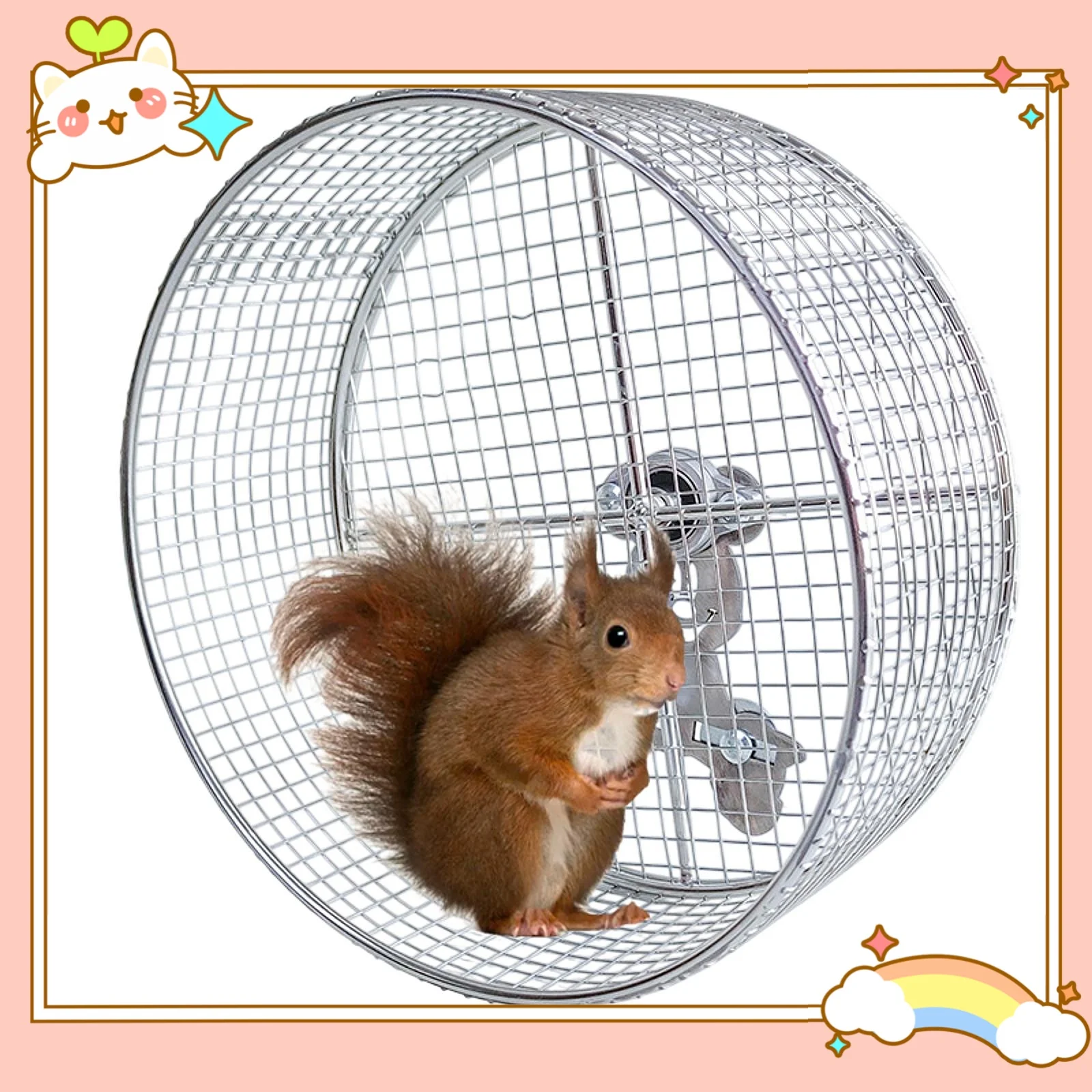 Photo inspiration: Picture Idea: Guinea Pigs Wheel The Ultimate Guide To Choosing The Best