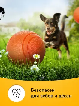 Изображение товара 0