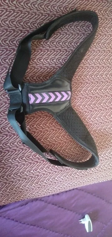 Posture Perfect Support Belt™