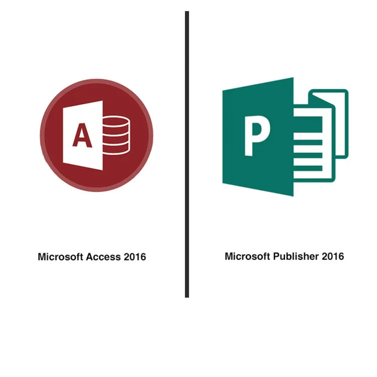 Рисунок 5 - Microsoft Office 2016 Pro Plus