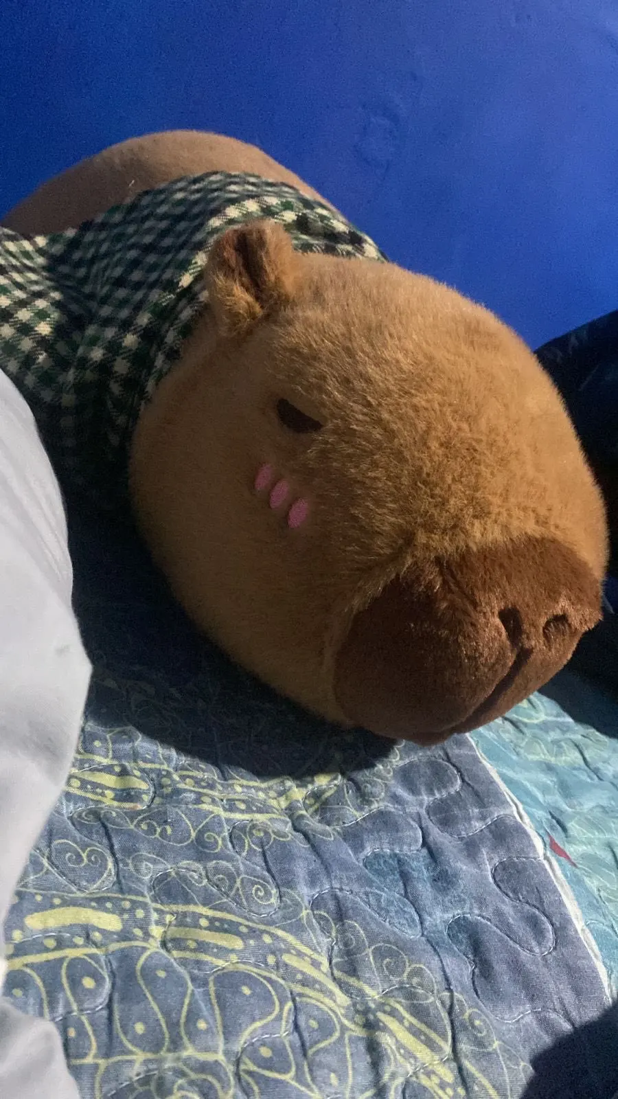 Chonky Sleeping Capybara Plushie photo review