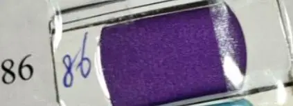 Viola