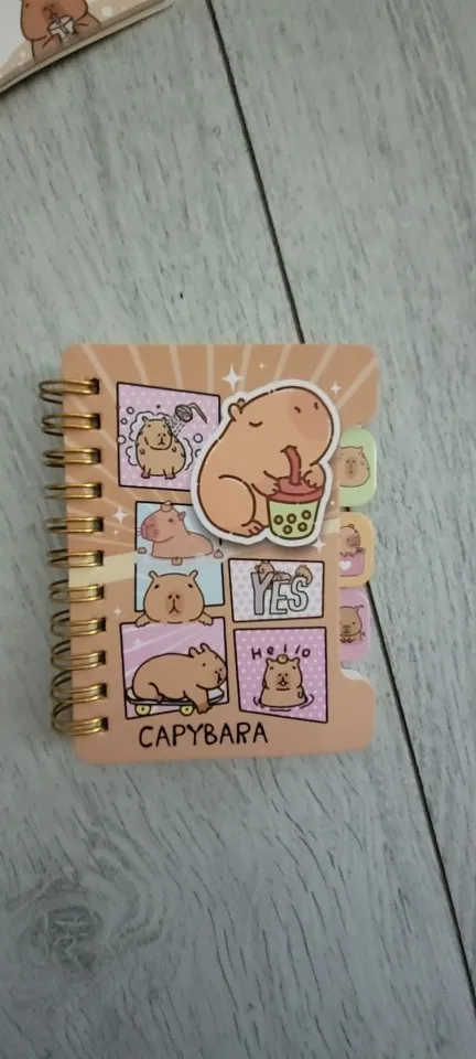 Capybara Notebook Collection photo review