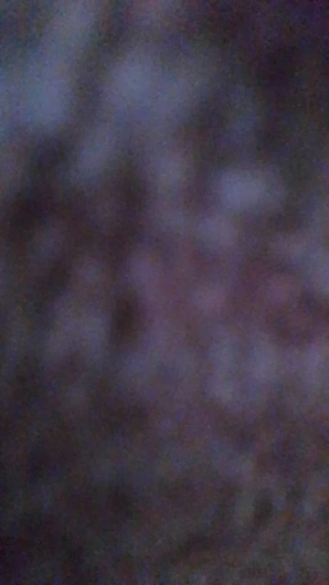 FrostShield Handschuhe – Warm, Wasserdicht & Reflektierend für jedes Winterabenteuer photo review