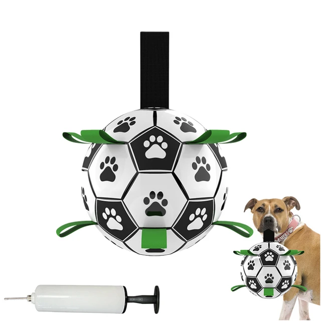 interactive toys for border collies
