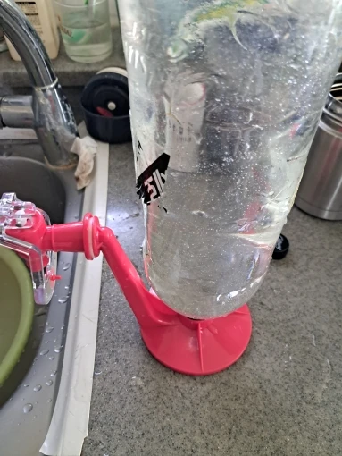 Press & Pour Oasis: Inverted Water Dispenser for Effortless Hydration photo review