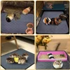 Guinea Pig Cage Lining Washable Guinea Pig Skin Pad Reusable and Non slip Urinary Pad for Guinea Pig Cat Dog Bed small animal 6