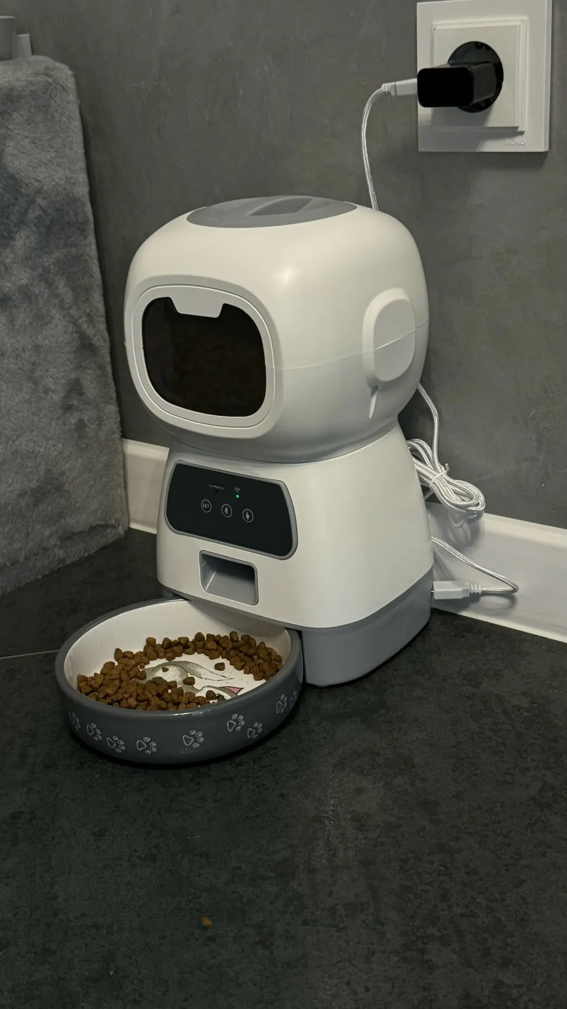 🐾 3.5L אוטומטי חיות מחמד מזין חכם WiFi – קיבולת גדולה, מקליט קול, עיתוי מדויק! מזין איטי לכלב וחתול, נוחות ושליטה מרחוק! 🐱
