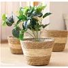 Nordic INS Straw Weaving Flower Plant Basket Grass Planter Indoor Outdoor Garden Pot Covert Container for Plantable Bonsai Decor 1