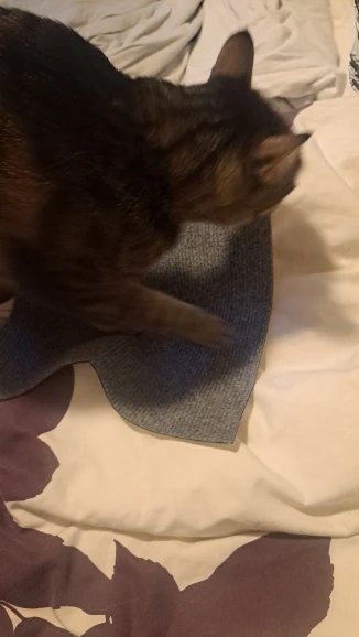 Sofa Saver Cat Scratch Mat photo review