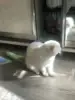 Изображение товара 1