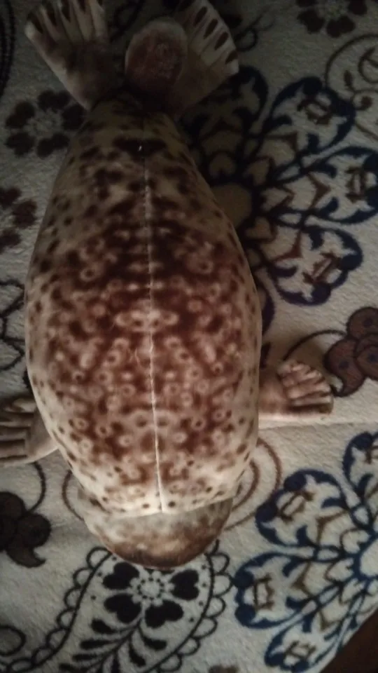 Foquinha Serena Fofeza® de Pelúcia