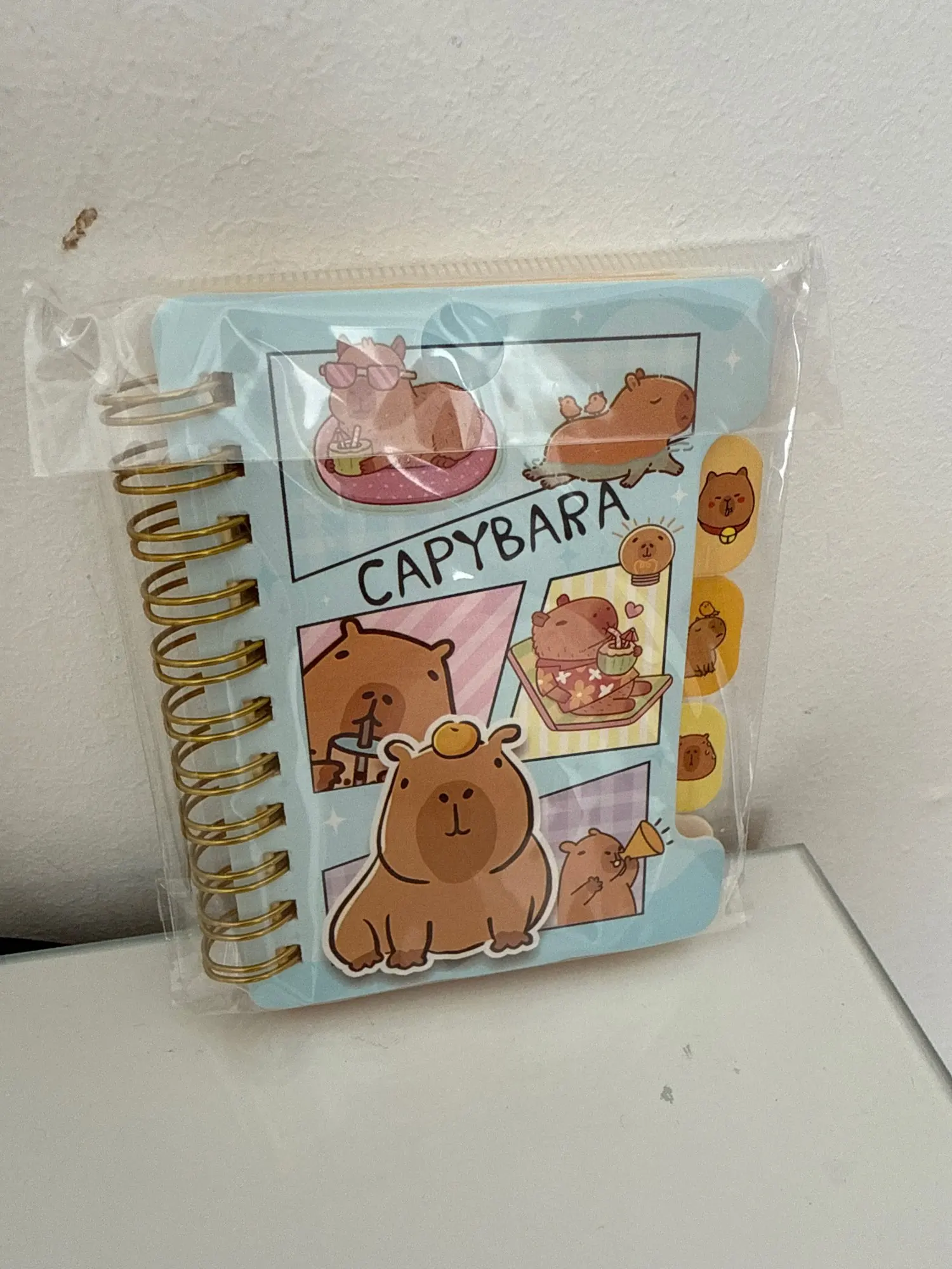 Capybara Notebook Collection photo review