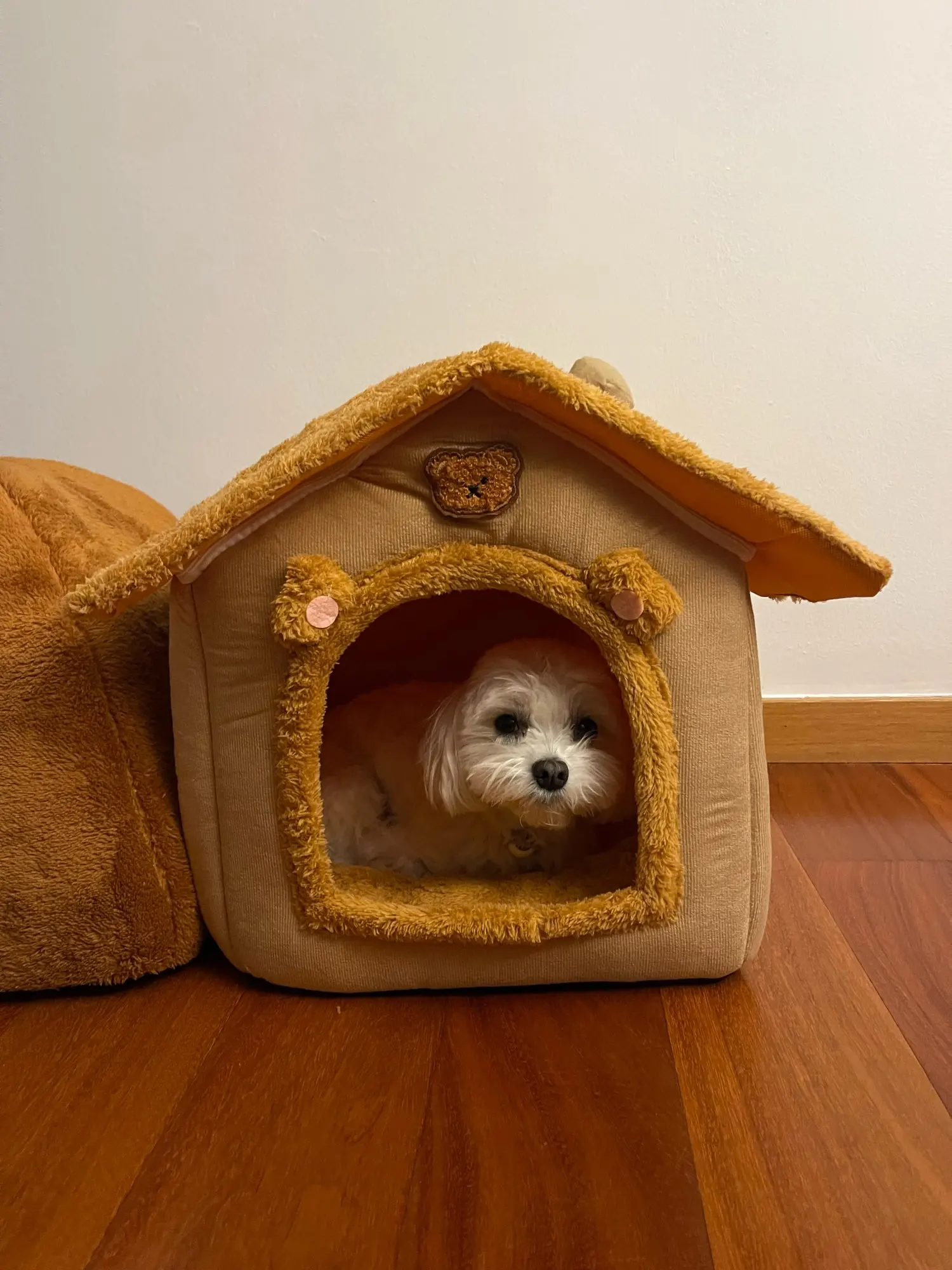 Cama estilo casa para perros para todas las estaciones, cama extraíble y lavable para mascotas para perros pequeños, casa cálida de invierno para perros y gatos photo review