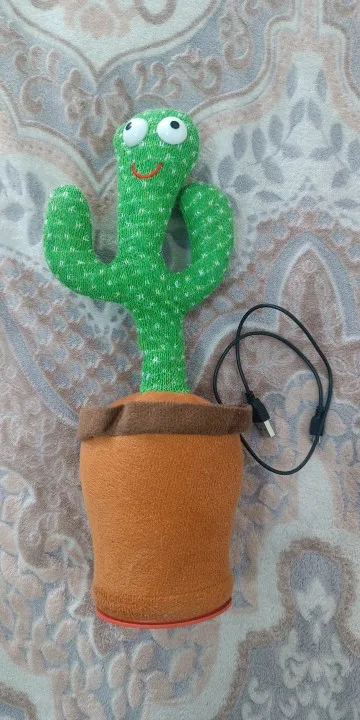 Intelligent Cactus Interactive Learning and Musical Toy for Kids to Dance Record and Speak with Fun photo review