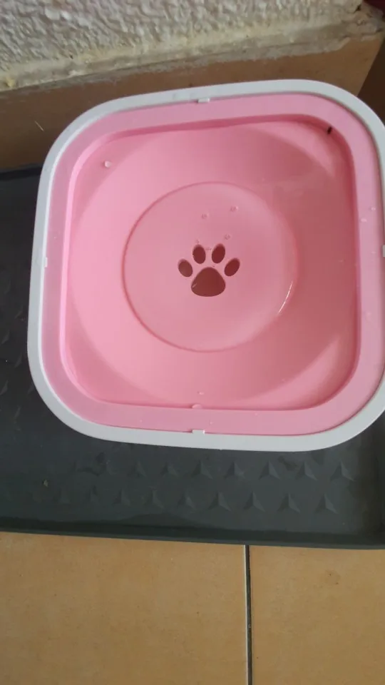 Non-Spill Dog Bowl