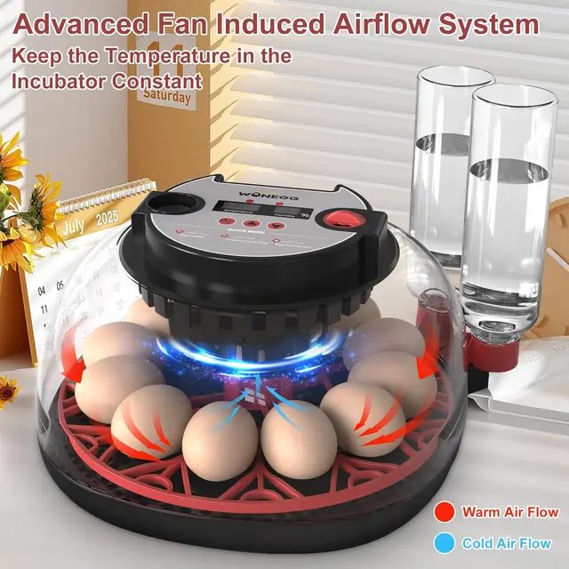 22088-f72378.jpg 12 Automatic Egg Incubators for Hatching Eggs Whith Smart Temperature Control, Auto Turner, LED Candling for Chicken, Duck, Quai