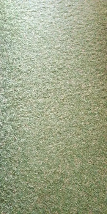 Xiaomi Outdoor Camera AW300 photo review