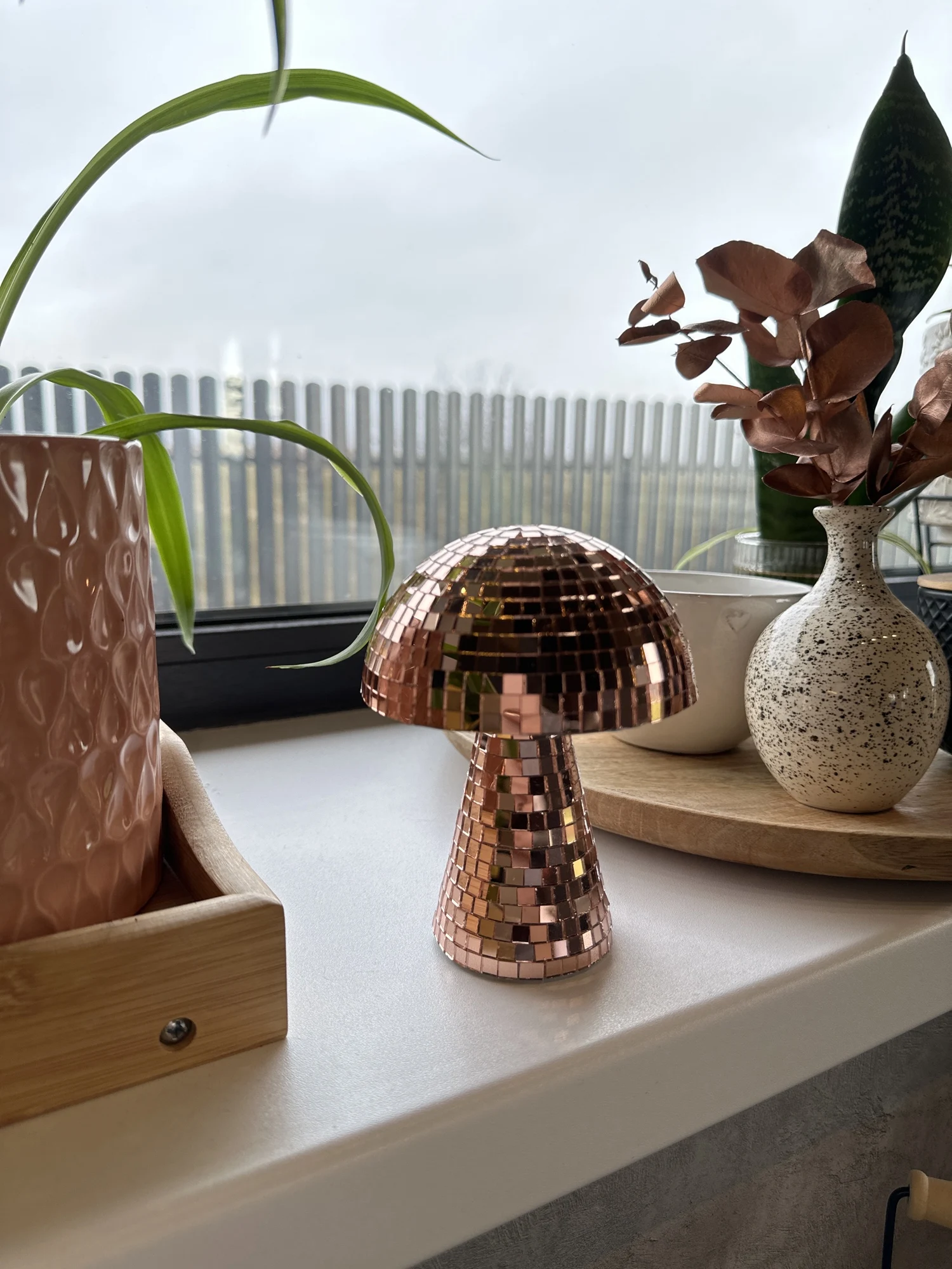 Disco Mushrooms, customer photo