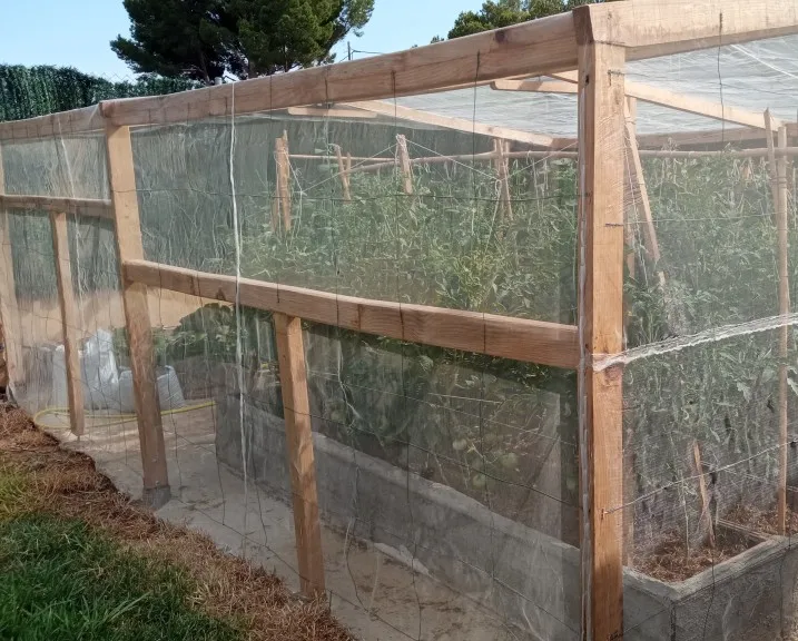 Garden Insect Protection Net for Plant Vegetables Fruit Care Cover Flower Tiny Pests Control Anti-Bird Supplies Garden Accessory photo review