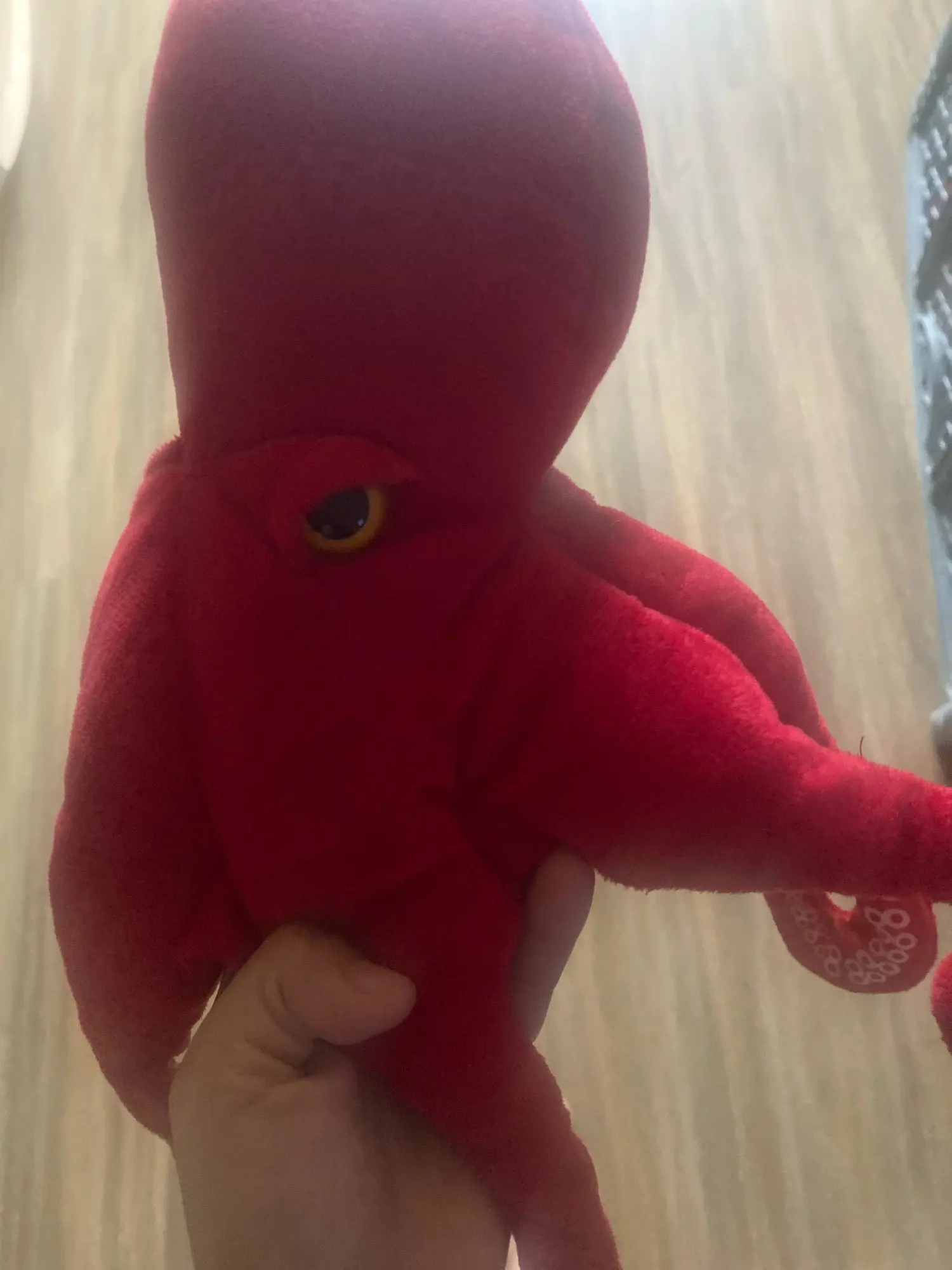 Polvo Gigante Fofeza® de Pelúcia