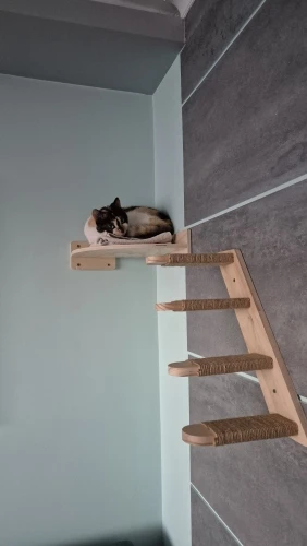 Wall-mounted Cat Climbing Frame 50cm Cat Climbing Ladder  Hammock  Activity Sisal Cat Grab Post Cat Pedal Indoor Cat House photo review