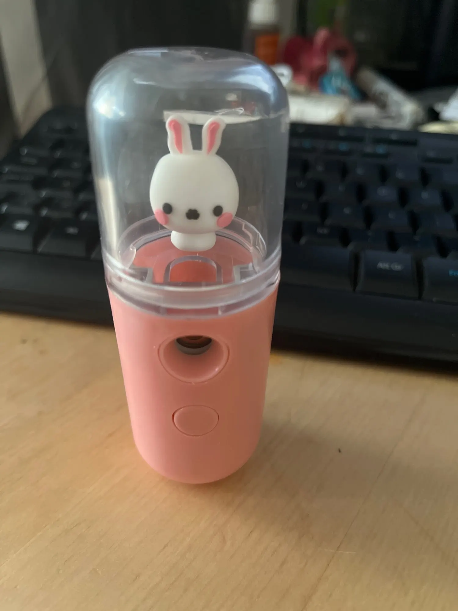 30ml Mini Cute Nano Mist Sprayer Ansiktsångare Luftfuktare USB Uppladdningsbar ansiktsfuktande nebulisator Skönhet Hudvårdsverktyg