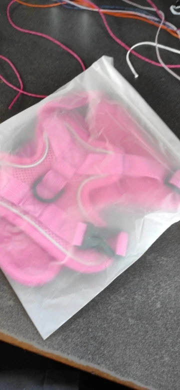 Halsband - Verstellbar, Reflektierend & Komfortabel für kleine Hunde und Katzen photo review