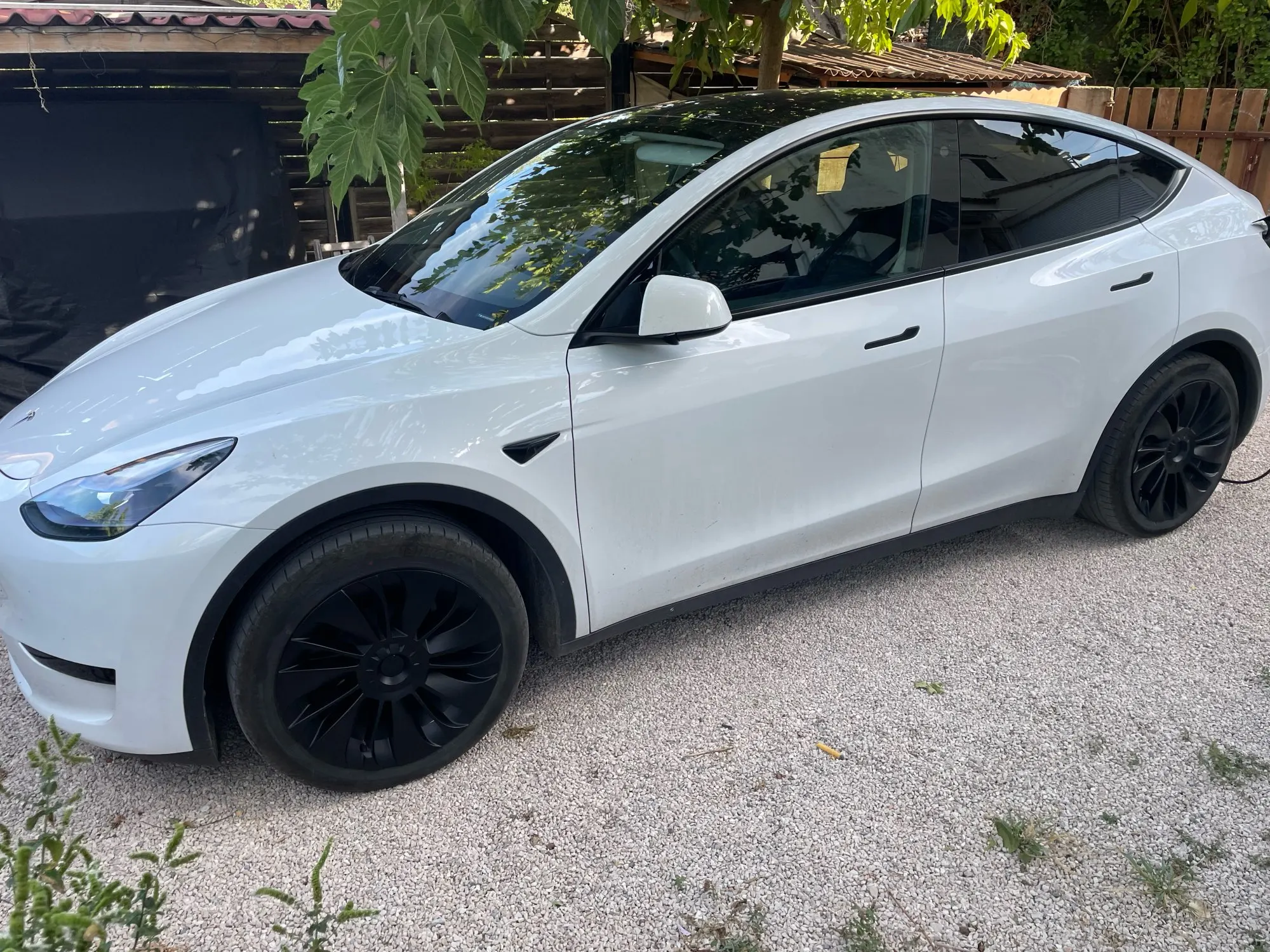 Teslahubs™ Wheel Caps customer photo