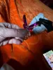 Изображение товара 4