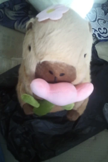 Kawaii Capybara Plushies - Bread & Flower Edition photo review