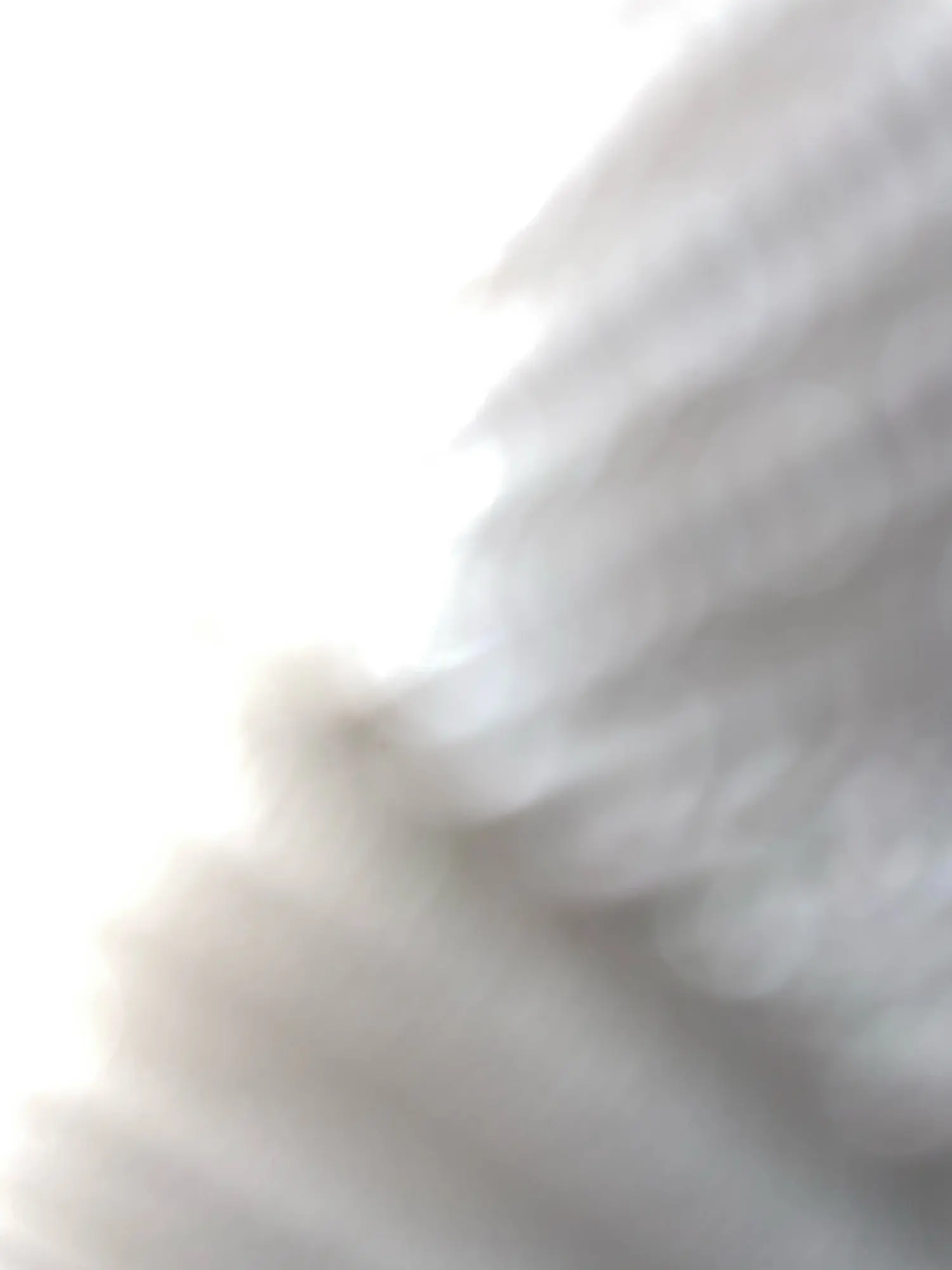 Kids' Embroidered Sleeveless Shirt and Shorts Set photo review