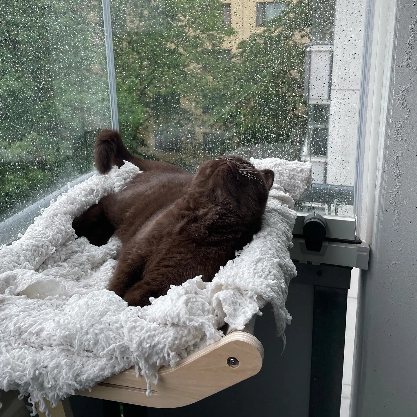 Attachment image review on Androf Cat Bed