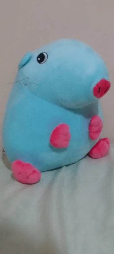 Stupid Rat Plushie photo review