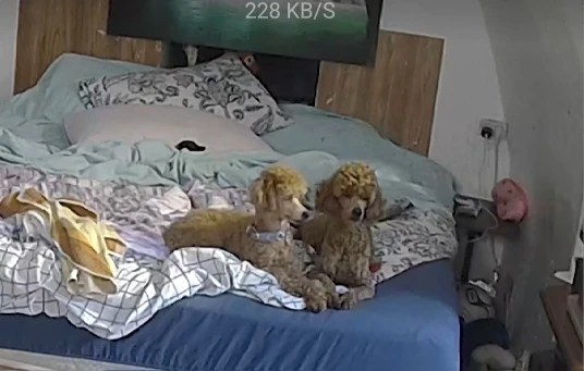 XIAOMI Home Security Intelligent Wifi Camera PTZ 2K,Color Night Vision,Two‑Way Audio,AI Human Face Detection,Chinese Version photo review