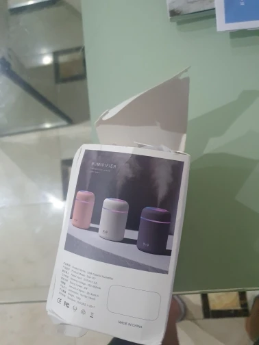 USB Cool Mist Sprayer Portable 300ml