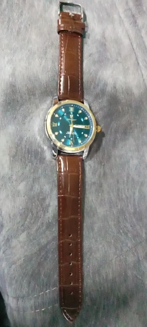 POEDAGAR Luxury Man Wristwatch photo review