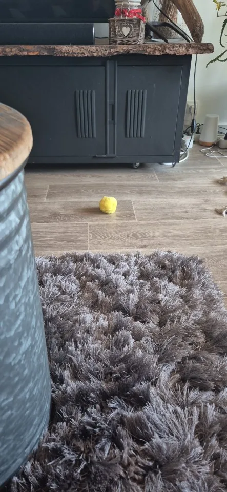 Pelota Interactiva Para Gato
