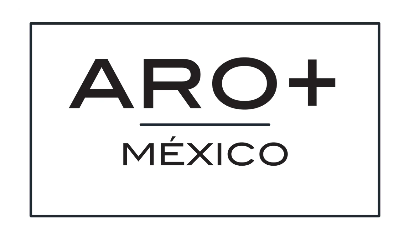 Aro+ Polos Sports Perfume Caballero Con Esencia De Larga Duración y Alta Fijación Para Hombre 75ML