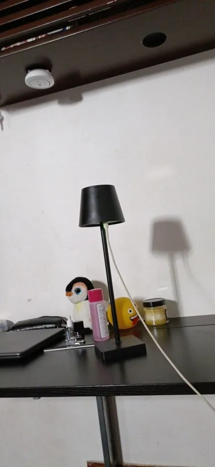 Rechargeable LED Table Lamp Touch Switch 3 Levels Dimmable Desk Lights Bar Club Dinner Creative Decorative Ambient Lighting photo review