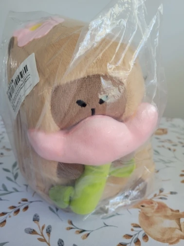 Kawaii Capybara Plushies - Bread & Flower Edition photo review