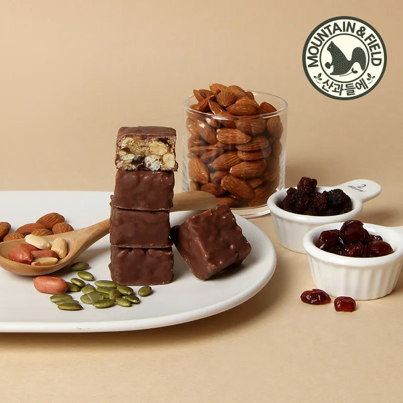 [산과들에] 원데이에너지바 초코미니200g (총 1봉) 에너지바 초코바 단백질바