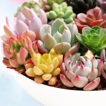Изображение товара 0