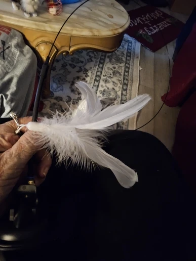 Feather Fun Cat Wand photo review