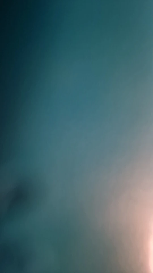 Climbing Plant Trellis Plant Support photo review