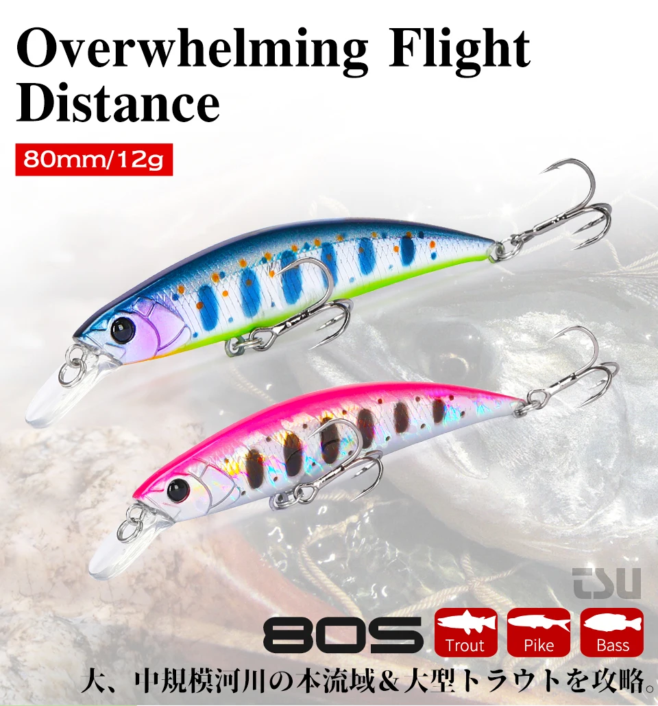 TSURINOYA 80S 12g Sinking Minnow Angelköder DW96 8cm Große Forelle Hecht Rockfish Harter Köder Jerkbait Süßwasser Salzwasser Wobbler – Detail 3